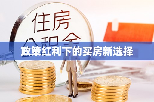 合水政策红利下的买房新选择