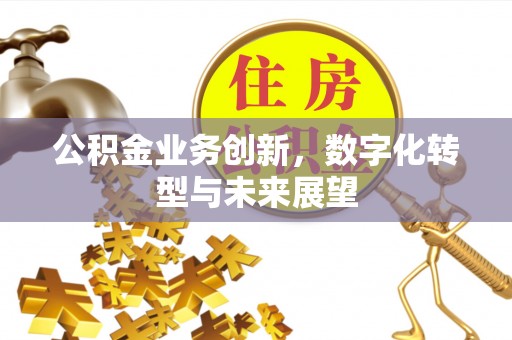 合水公积金业务创新，数字化转型与未来展望