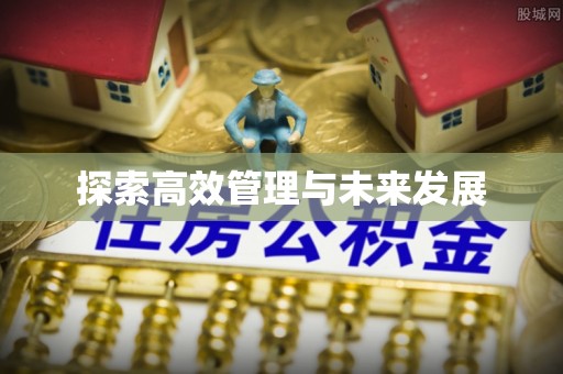 合水探索高效管理与未来发展