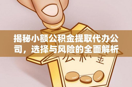 合水揭秘小额公积金提取代办公司，选择与风险的全面解析