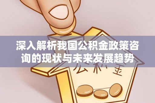 合水深入解析我国公积金政策咨询的现状与未来发展趋势